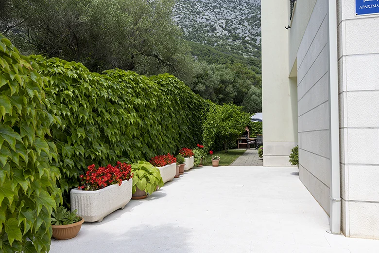 garden, apartments Adriatic