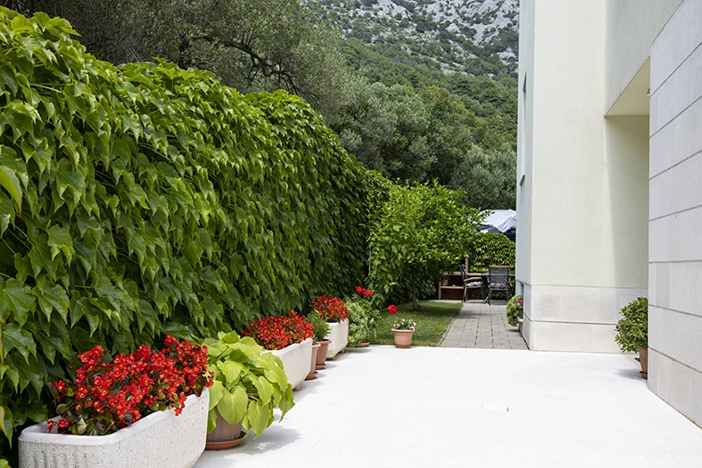 garden, apartments Adriatic