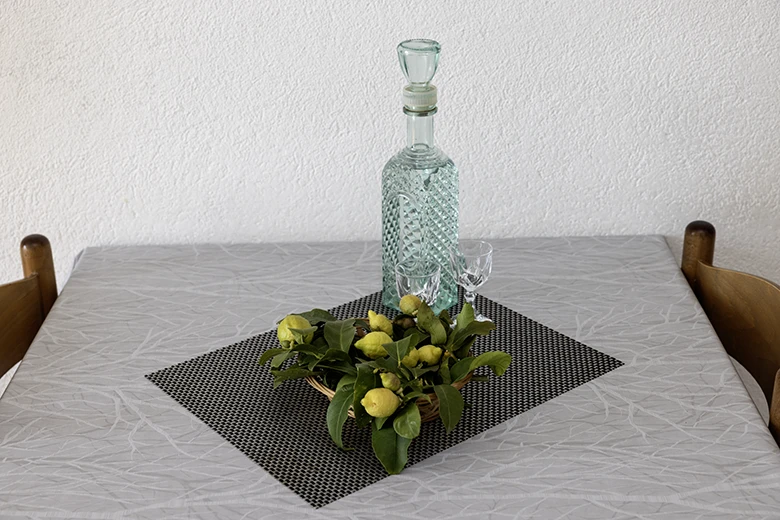 Apartments Grgo Talijančić, Igrane - details - lemons