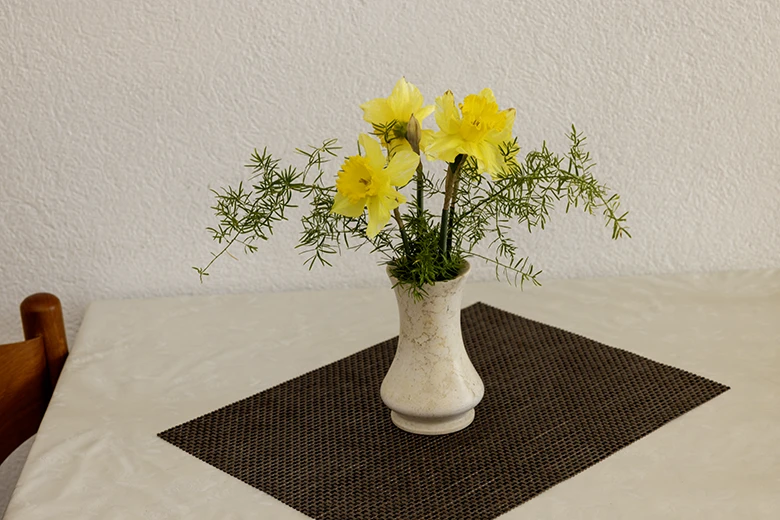 Apartments Grgo Talijančić, Igrane - flowers, detail