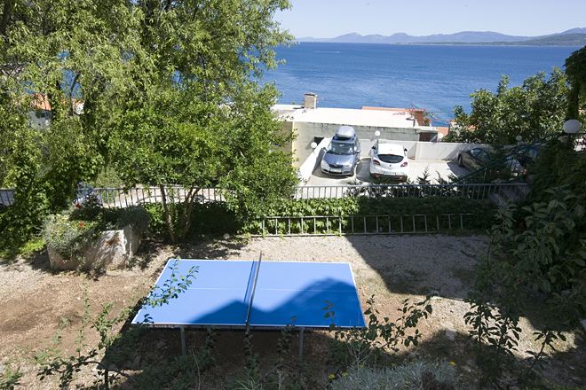 table tennis