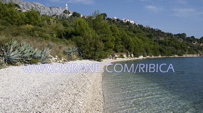 beach in Igrane