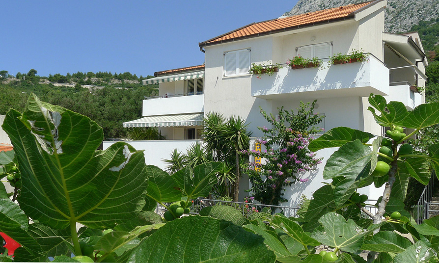 apartments Šimić, Igrane - house